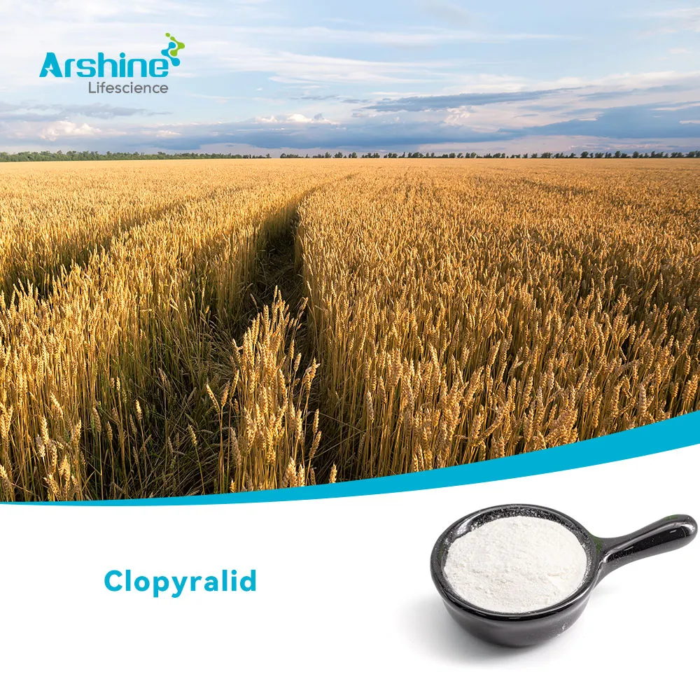 كلوبايراليد