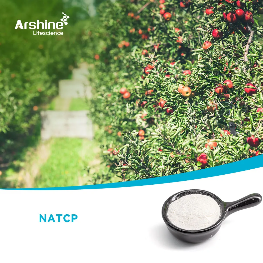 3،5،6-Trichloropyridin- 2-OL-Sodium