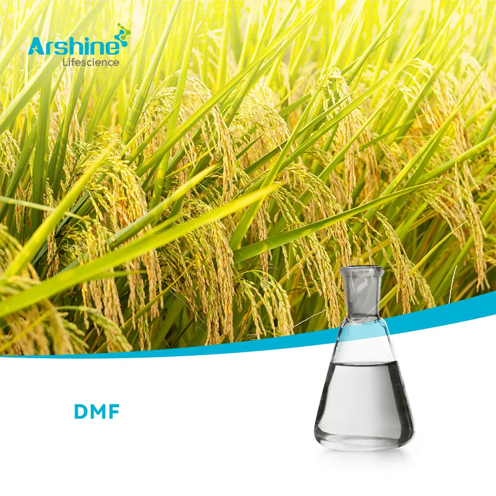 N ، n-dimethylformamide