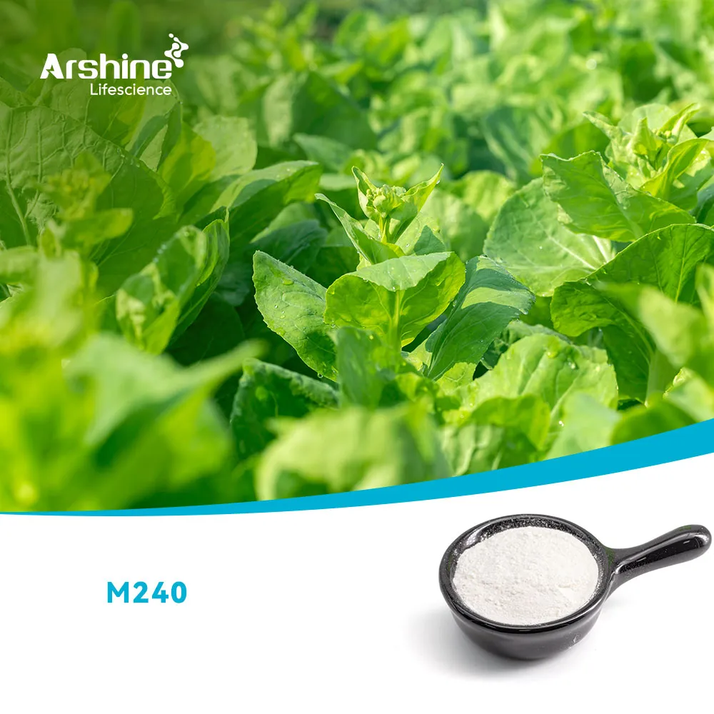 الميثيل (E) -3-ميثوكسي -2- (2-كلورو ميثيل فينيل) -2-بروبنوات； Methyl-2- (2-كلوروميثي | فينيل) -3 ميثوكسياكريلات 