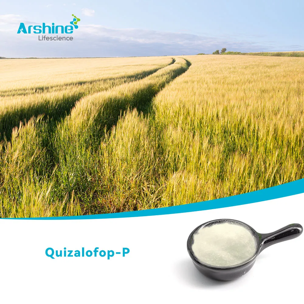 كويزالوفوب-P