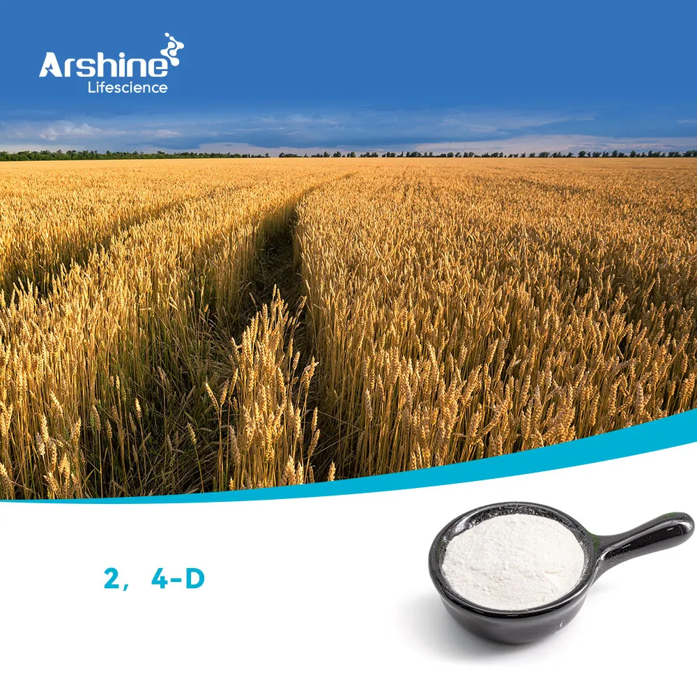 2،4-ديكلوروفينوكسيتيك حمض