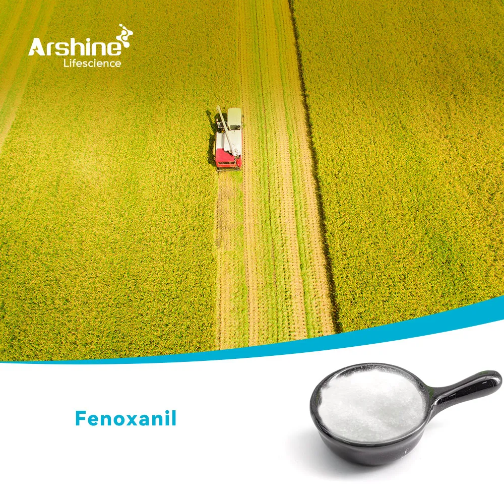 فينوكسانيل