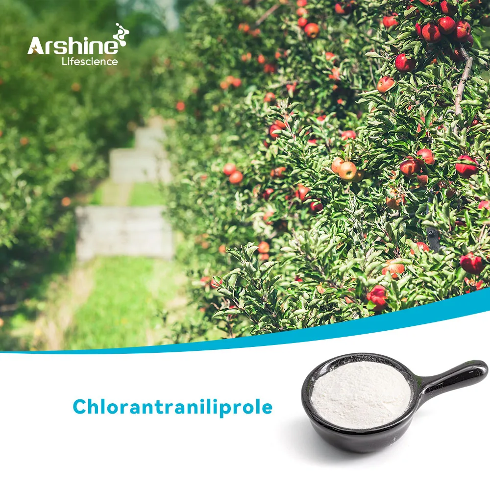 كلورانترانيلبرول