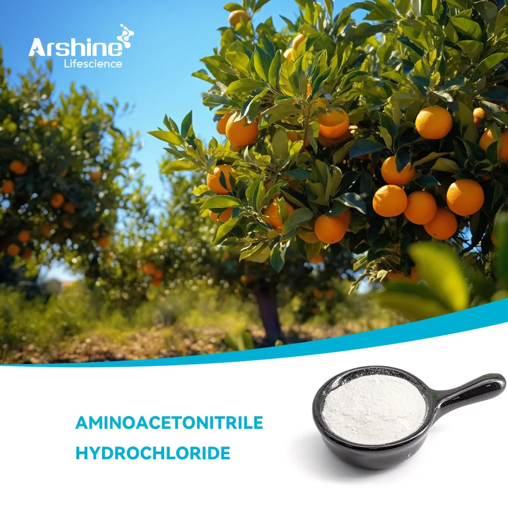 أمينوسيتونيتريل هيدروكلوريد
