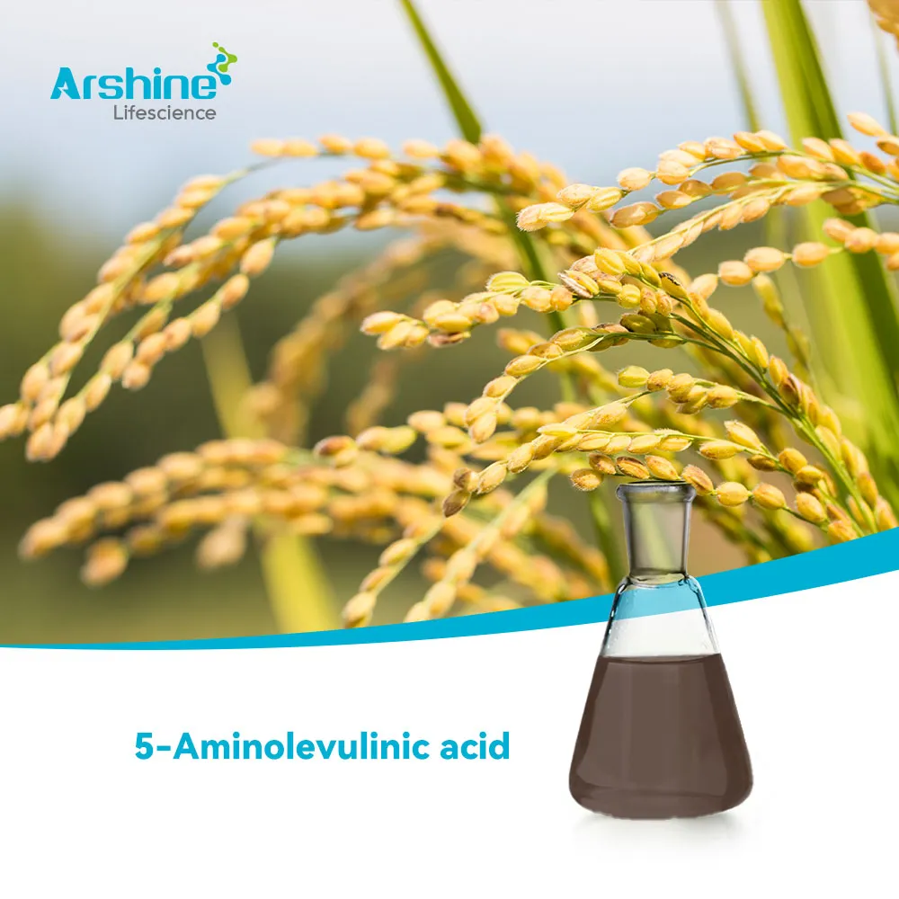 5 أمينولفولينيك حمض